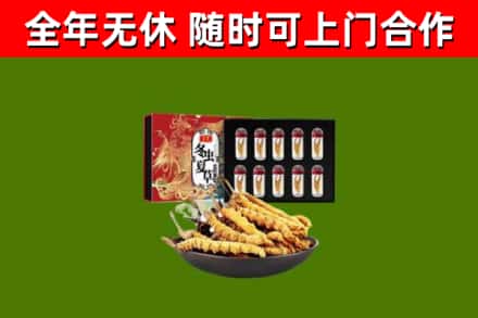思南县回收冬虫夏草价格